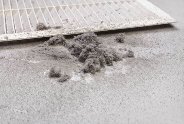 Best HVAC System Cleaning  in Minneapolis, MN