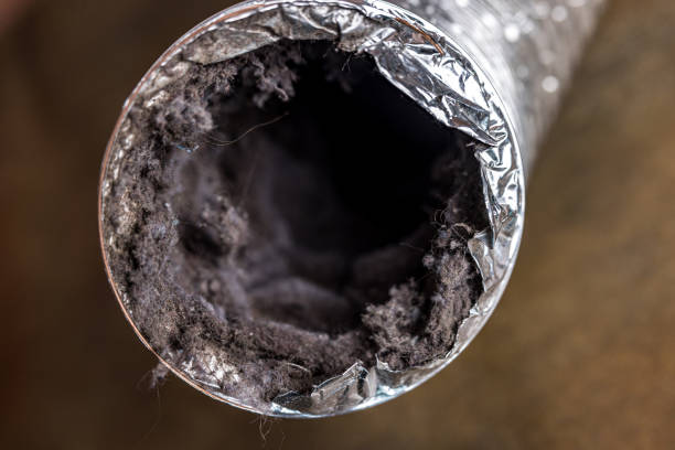 Best Home Air Vent Cleaning  in Minneapolis, MN
